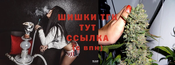 гашик Алексеевка